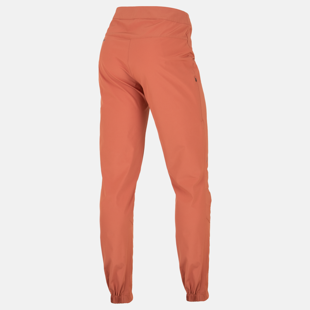BikePI-19212301-IE6-back-W-F232026-03-13.png